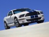 2007 Shelby Ford Mustang GT500 thumbnail photo 87656