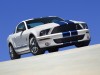 Shelby Ford Mustang GT500 2007