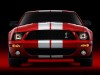 Shelby Ford Mustang GT500 2007