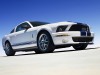 2007 Shelby Ford Mustang GT500 thumbnail photo 87663