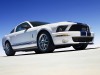 Shelby Ford Mustang GT500 2007