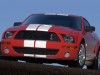 Shelby Ford Mustang GT500 2007