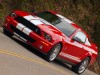 Shelby Ford Mustang GT500 2007