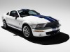 Shelby Ford Mustang GT500 2007