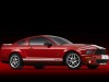 Shelby Ford Mustang GT500 2007