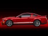 Shelby Ford Mustang GT500 2007