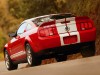 Shelby Ford Mustang GT500 2007