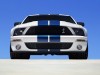 Shelby Ford Mustang GT500 2007