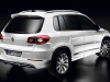 2007 Volkswagen Tiguan R-Line thumbnail photo 16834