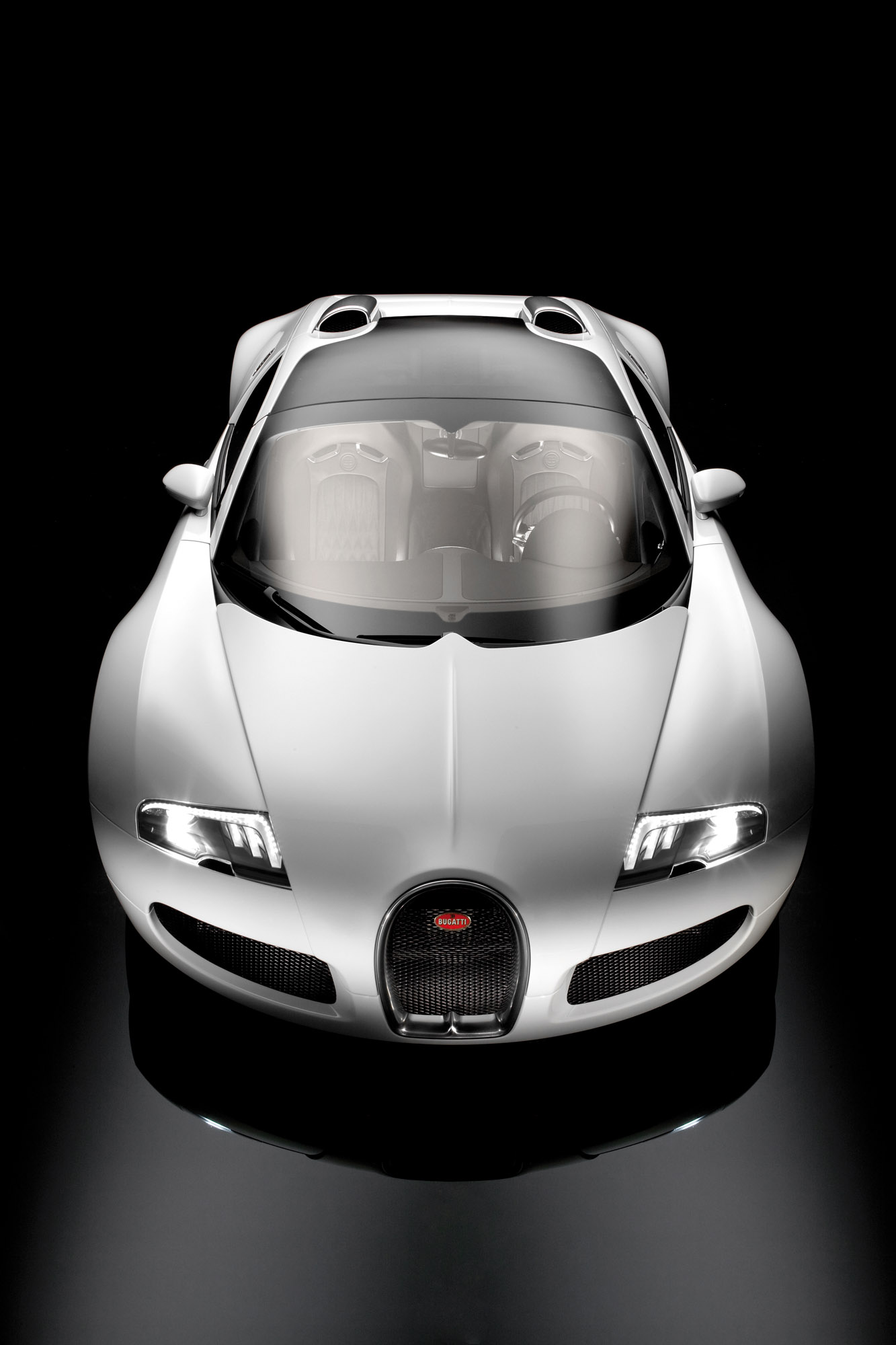 Bugatti Veyron 16.4 Grand Sport photo #1