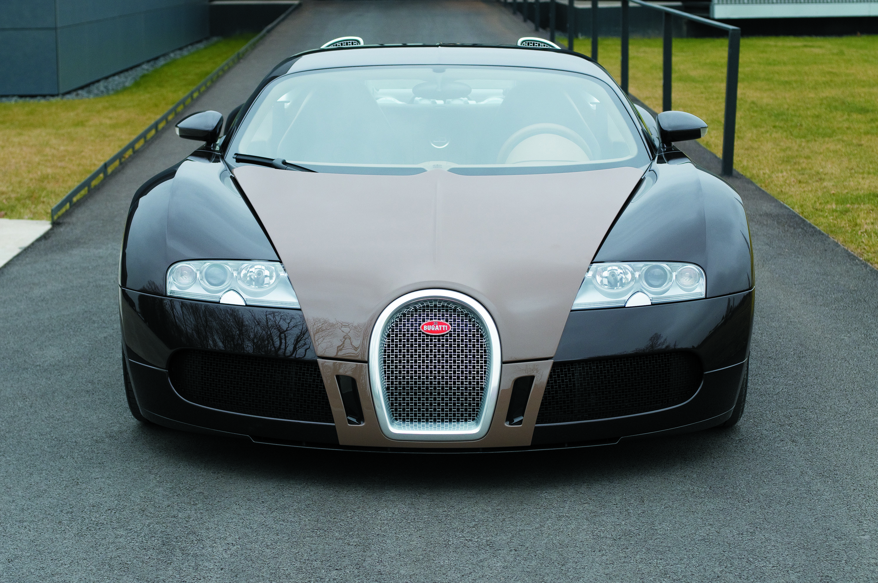 Bugatti Veyron Fbg par Hermes photo #1