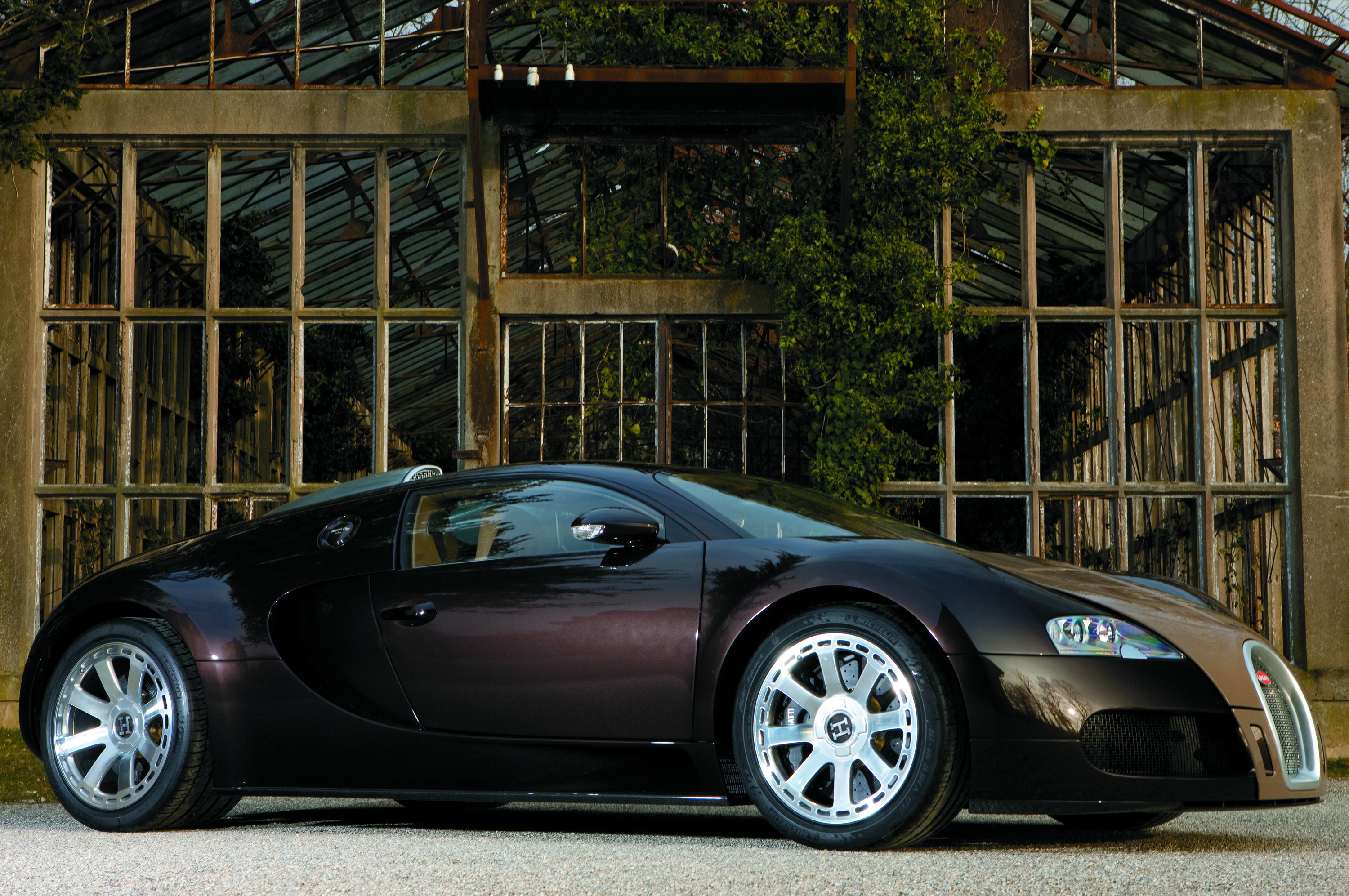 Bugatti Veyron Fbg par Hermes photo #3