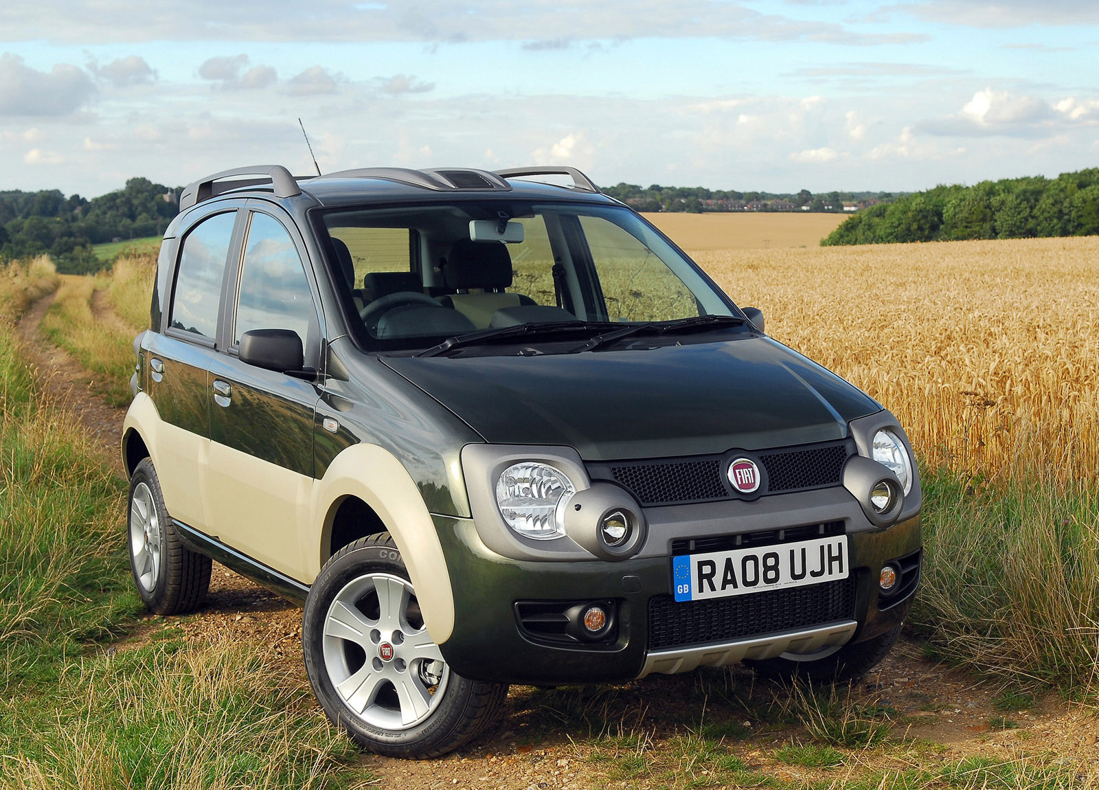 Fiat Panda Cross photo #2