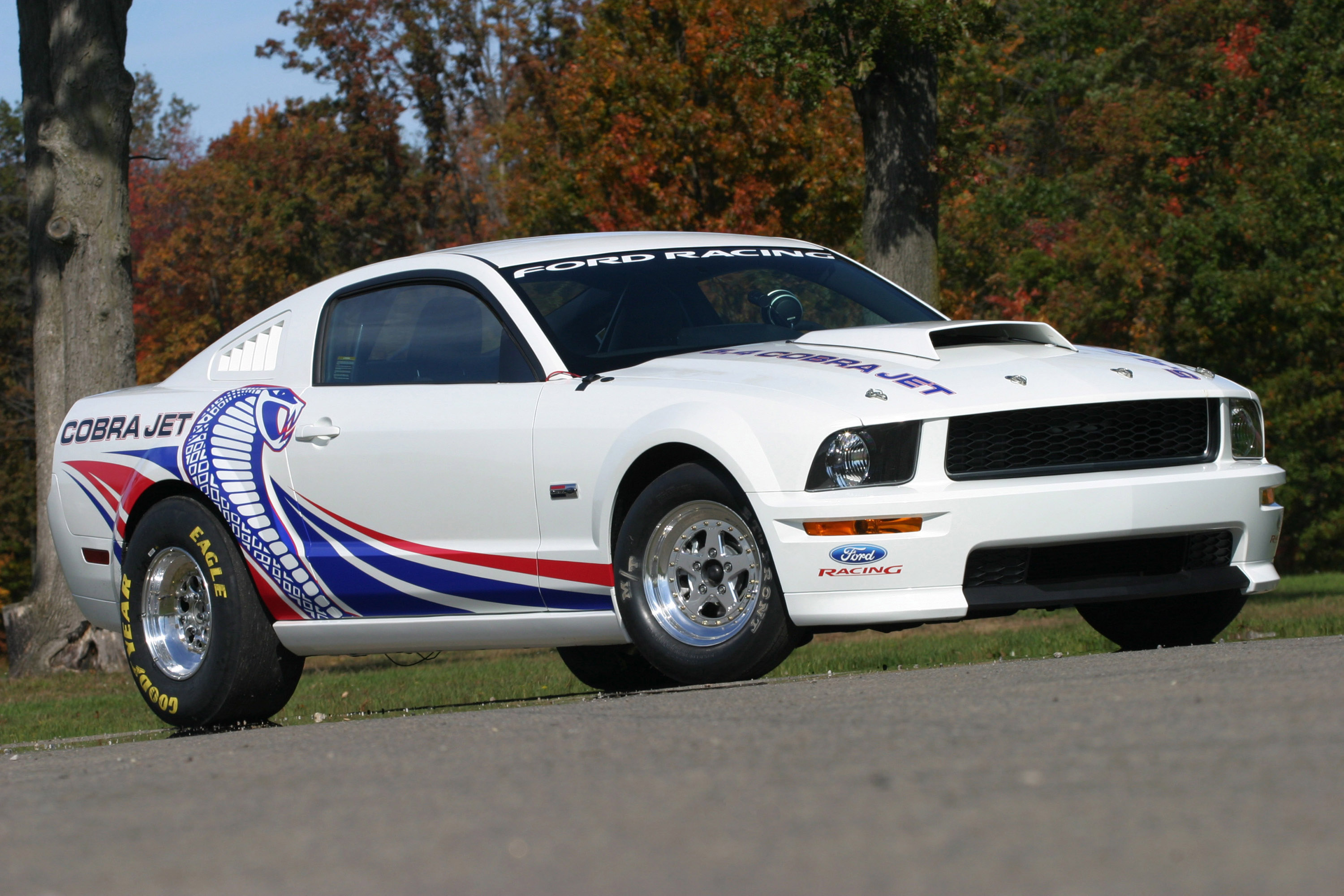 Ford Mustang FR500CJ Cobra Jet photo #1