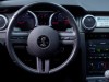 Ford Mustang Shelby GT500KR 2008