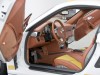 Hamann Porsche 911 Turbo Stallion 2008