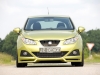 2008 JE Design Seat Ibiza thumbnail photo 20234