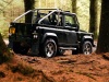 2008 Land Rover Defender SVX thumbnail photo 53969