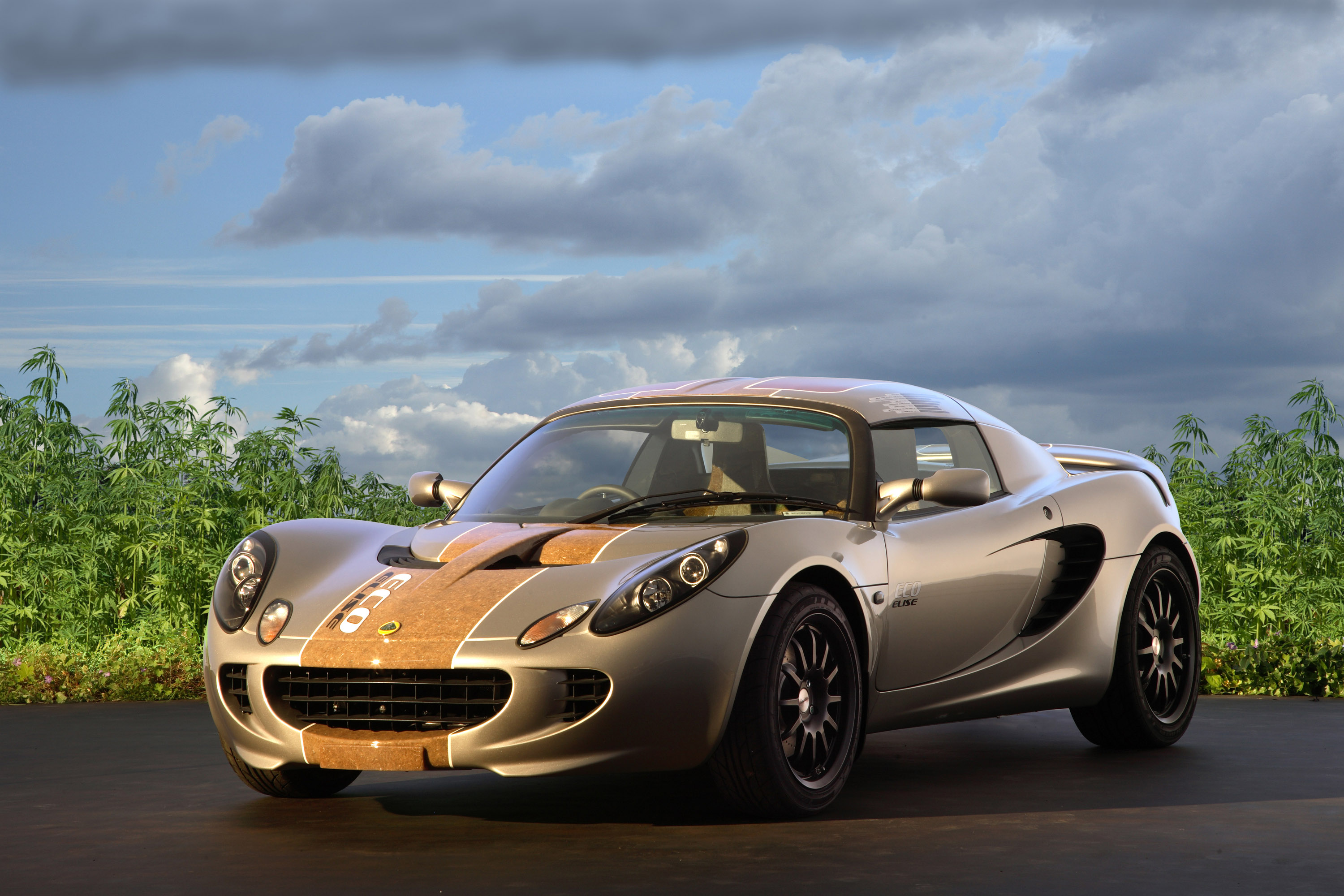 Lotus Eco Elise photo #1