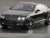2008 MANSORY Bentley Continental GT thumbnail photo 19577