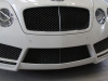 2008 MANSORY Bentley Flying Spur Speed thumbnail photo 19636