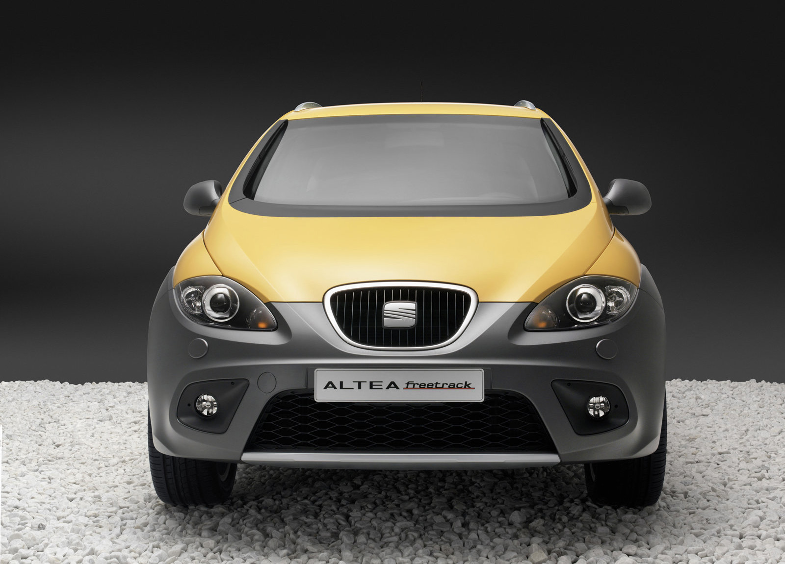 Seat Altea Freetrack photo #29