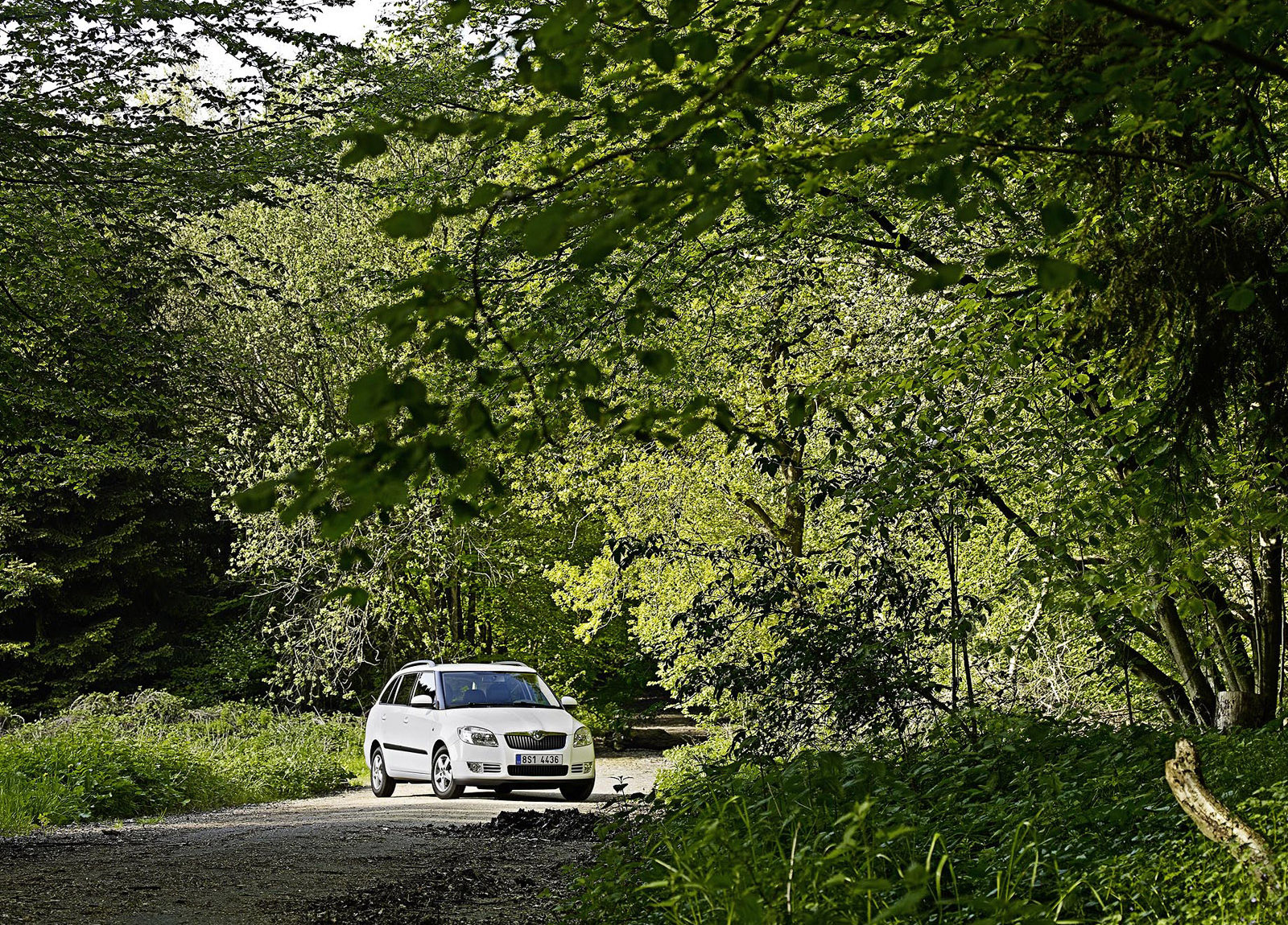 Skoda Fabia Combi GreenLine photo #15