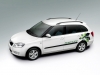 Skoda Fabia Combi GreenLine 2008