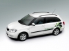 2008 Skoda Fabia Combi GreenLine thumbnail photo 19442