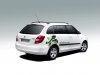 Skoda Fabia Combi GreenLine 2008