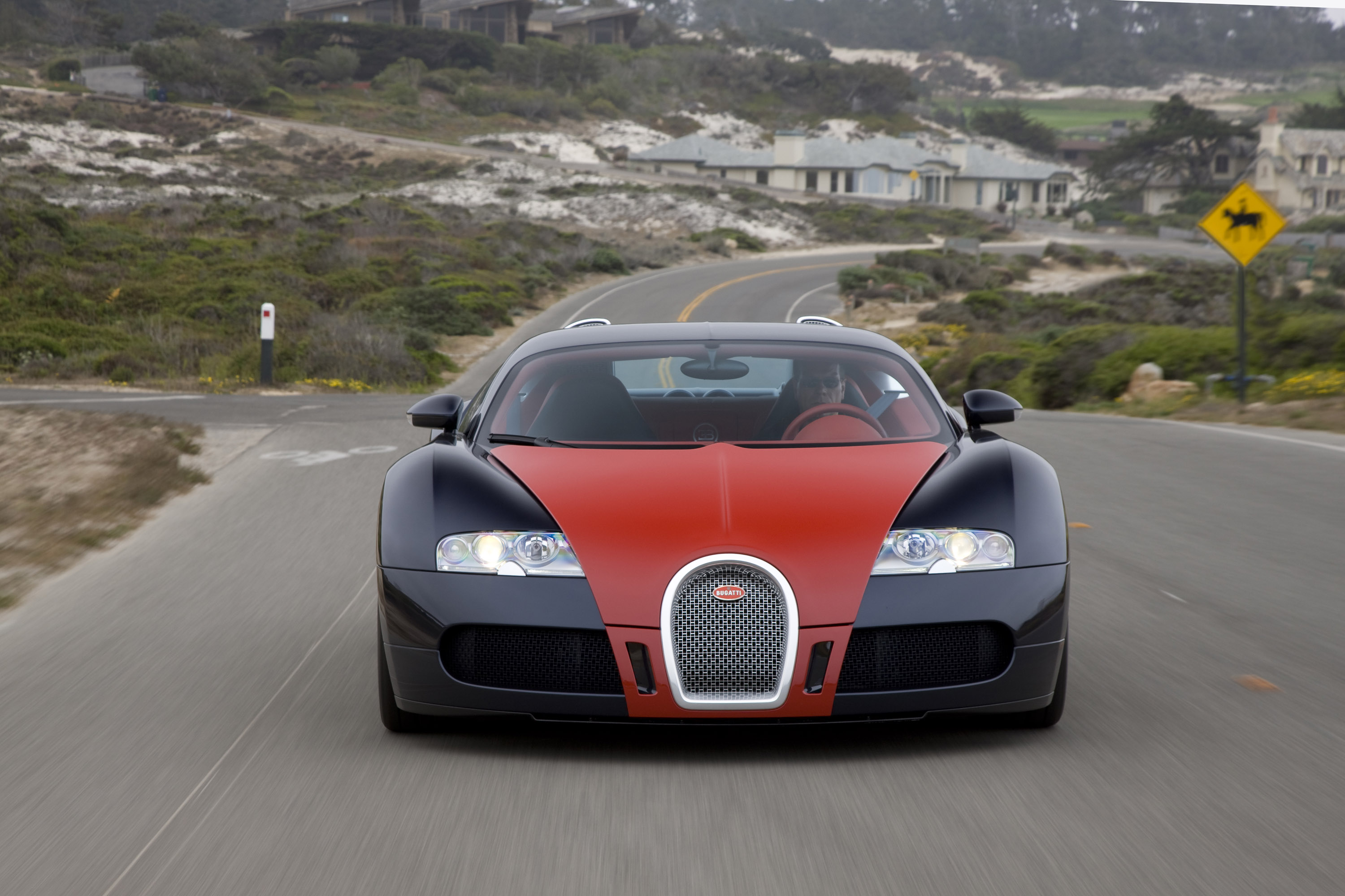 Bugatti Veyron Fbg par Hermes photo #2