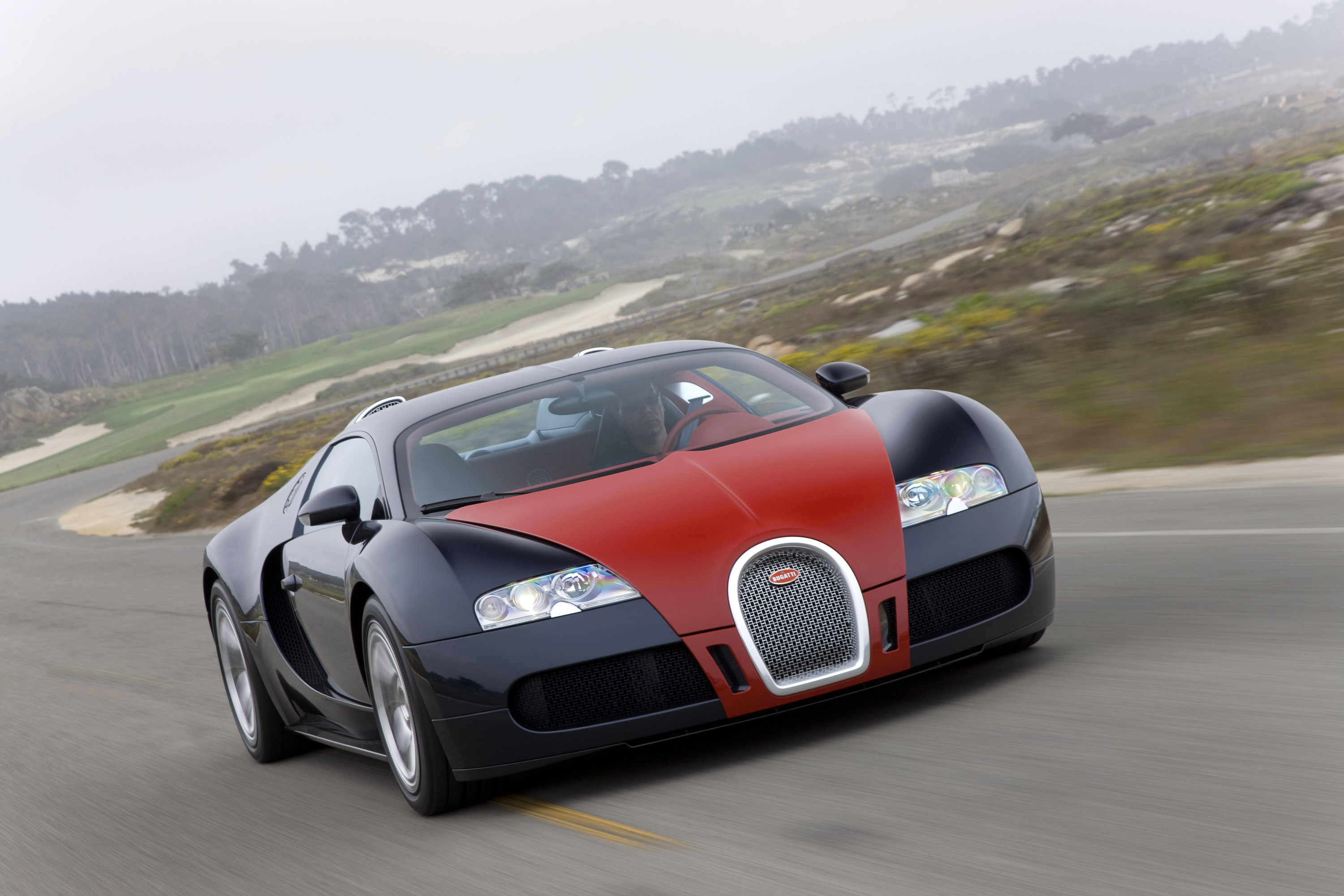 Bugatti Veyron Fbg par Hermes photo #3