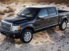 Ford F-150 SFE 2009