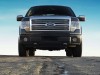 2009 Ford F-150 SFE thumbnail photo 84615