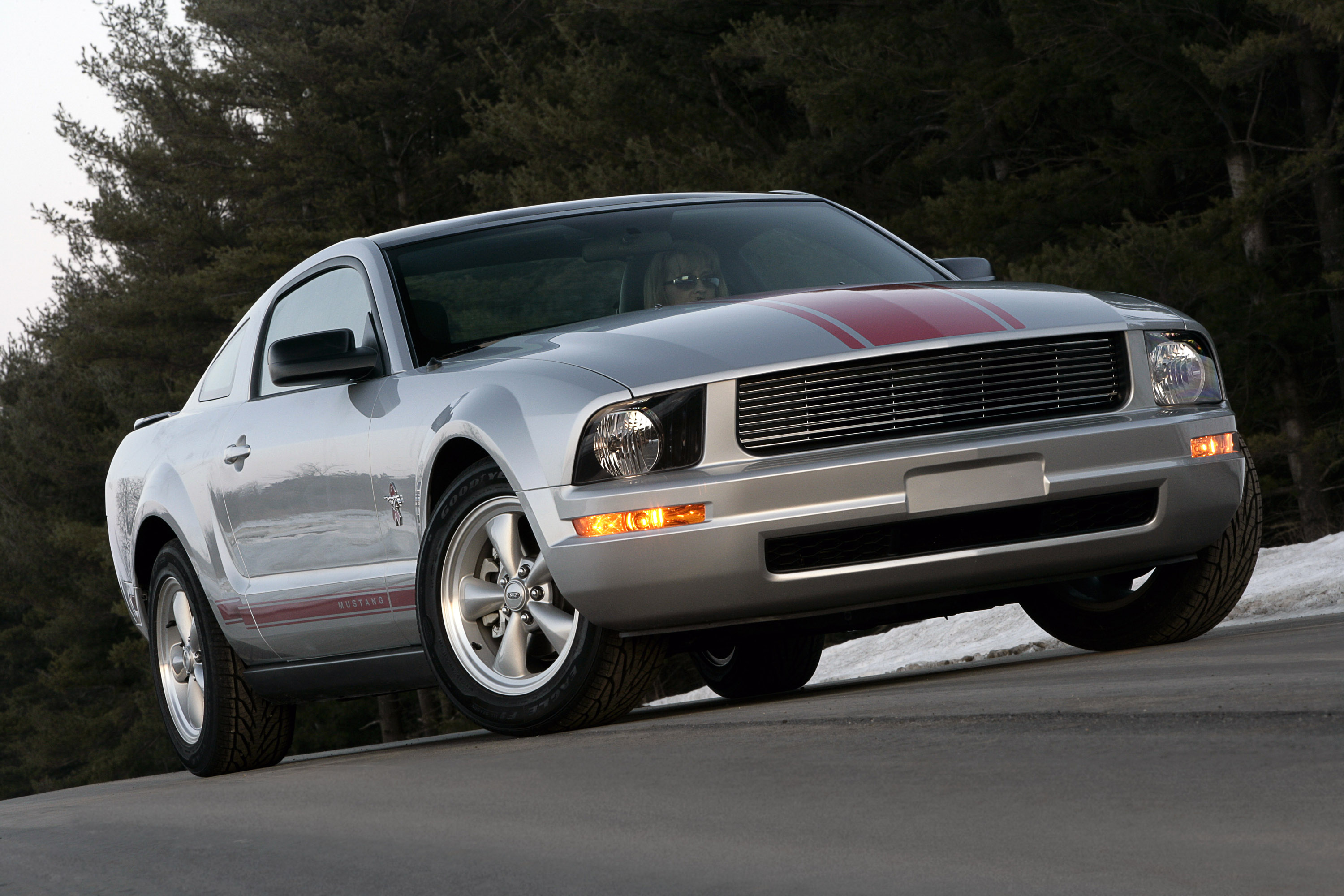 Ford Mustang Warriors In Pink photo #1