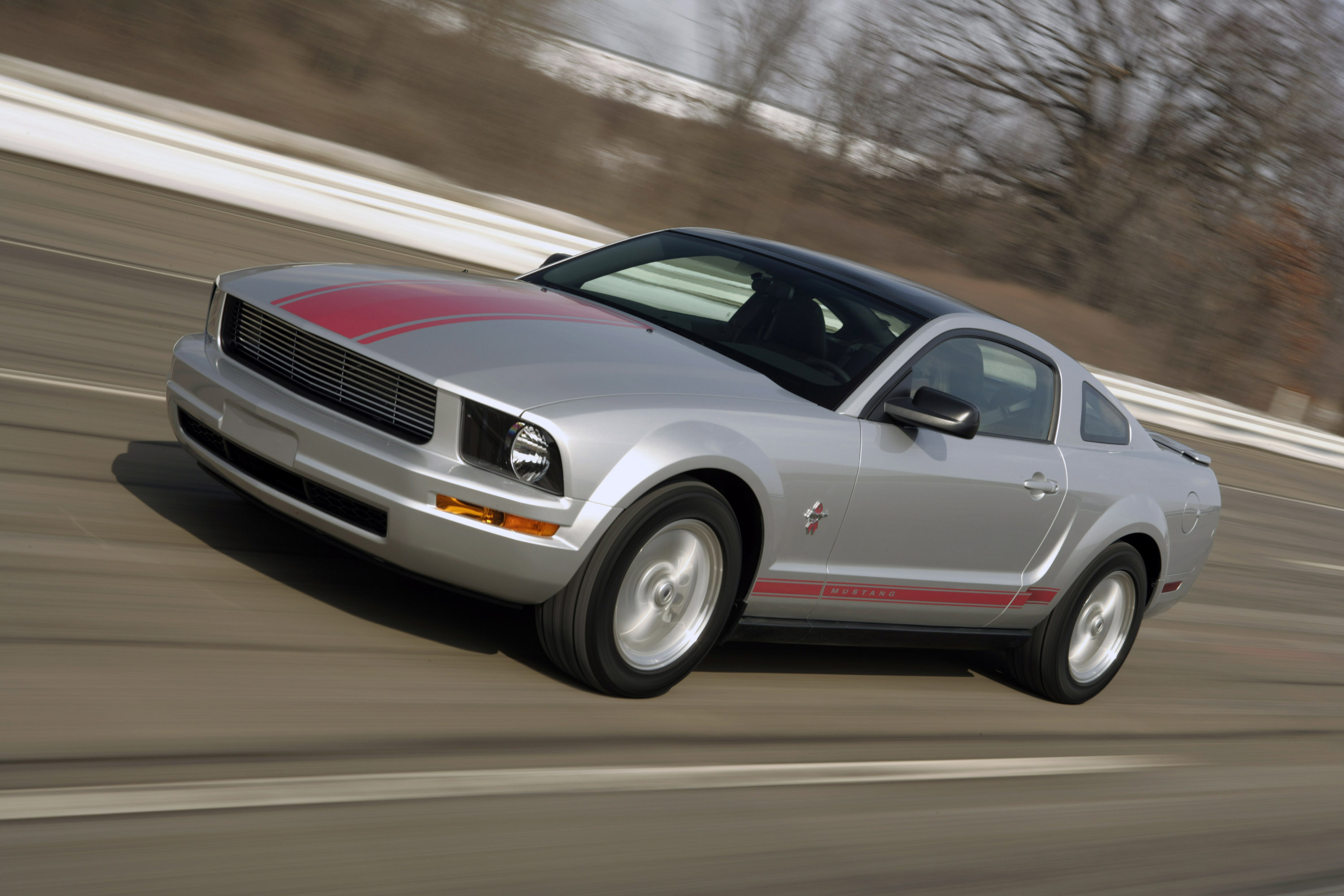 Ford Mustang Warriors In Pink photo #2