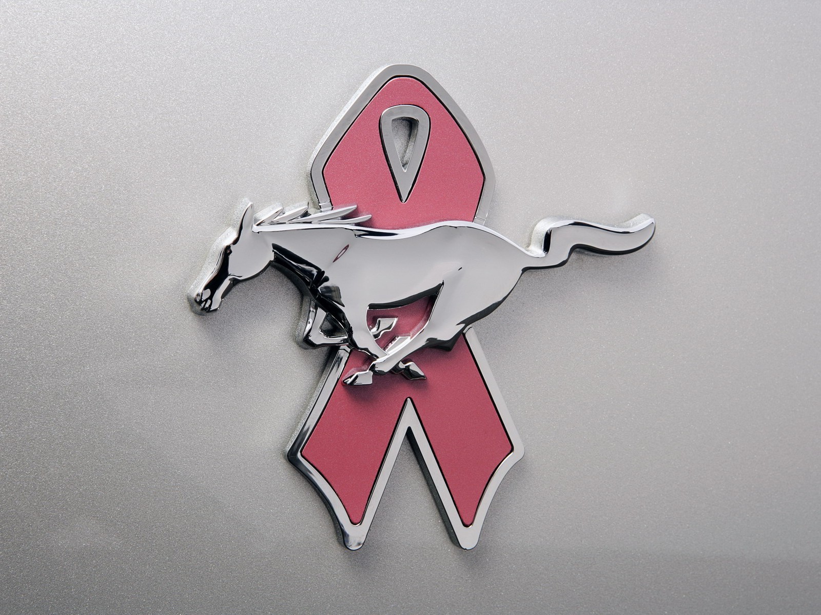 Ford Mustang Warriors In Pink photo #8