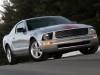 2009 Ford Mustang Warriors In Pink thumbnail photo 84486