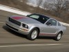 2009 Ford Mustang Warriors In Pink thumbnail photo 84487