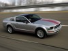 2009 Ford Mustang Warriors In Pink thumbnail photo 84489