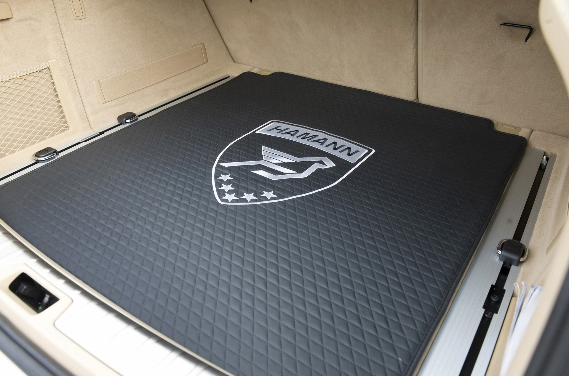 Hamann BMW X6 photo #18