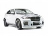 2009 Hamann BMW X6 thumbnail photo 77874