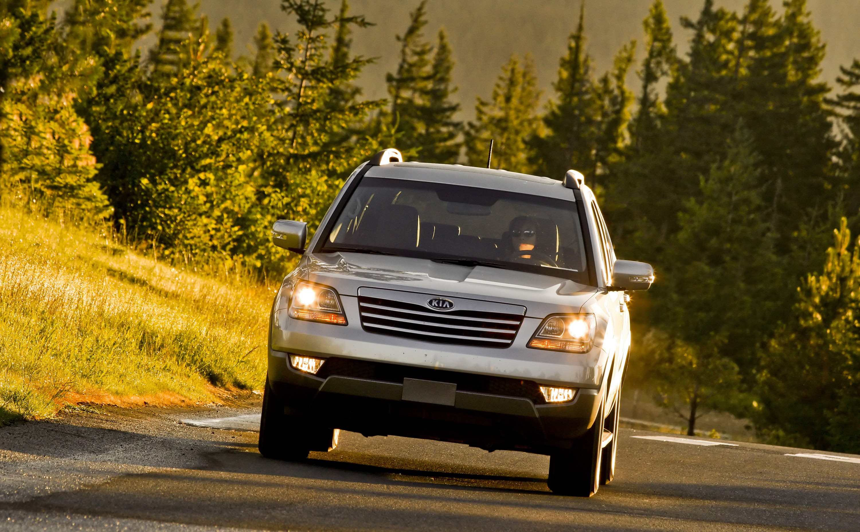 Kia Borrego photo #31