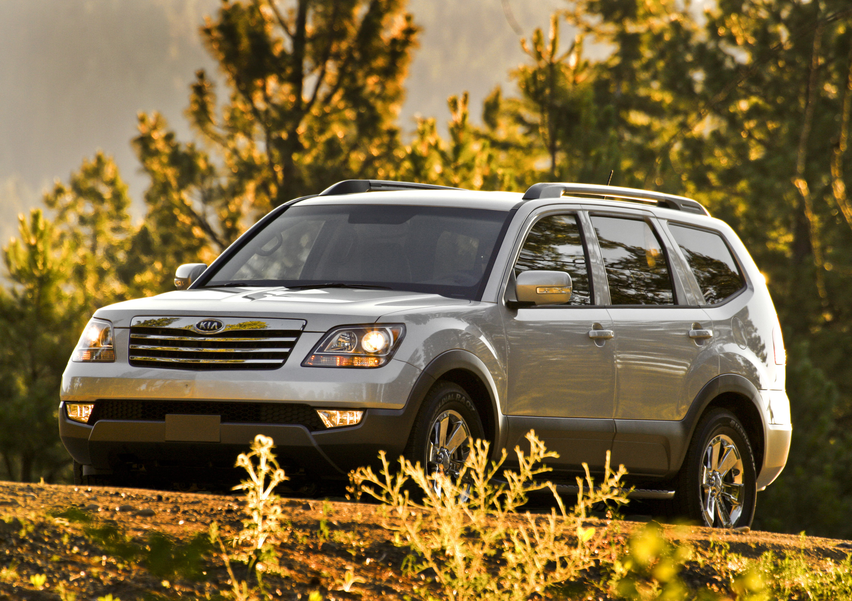 Kia Borrego photo #32