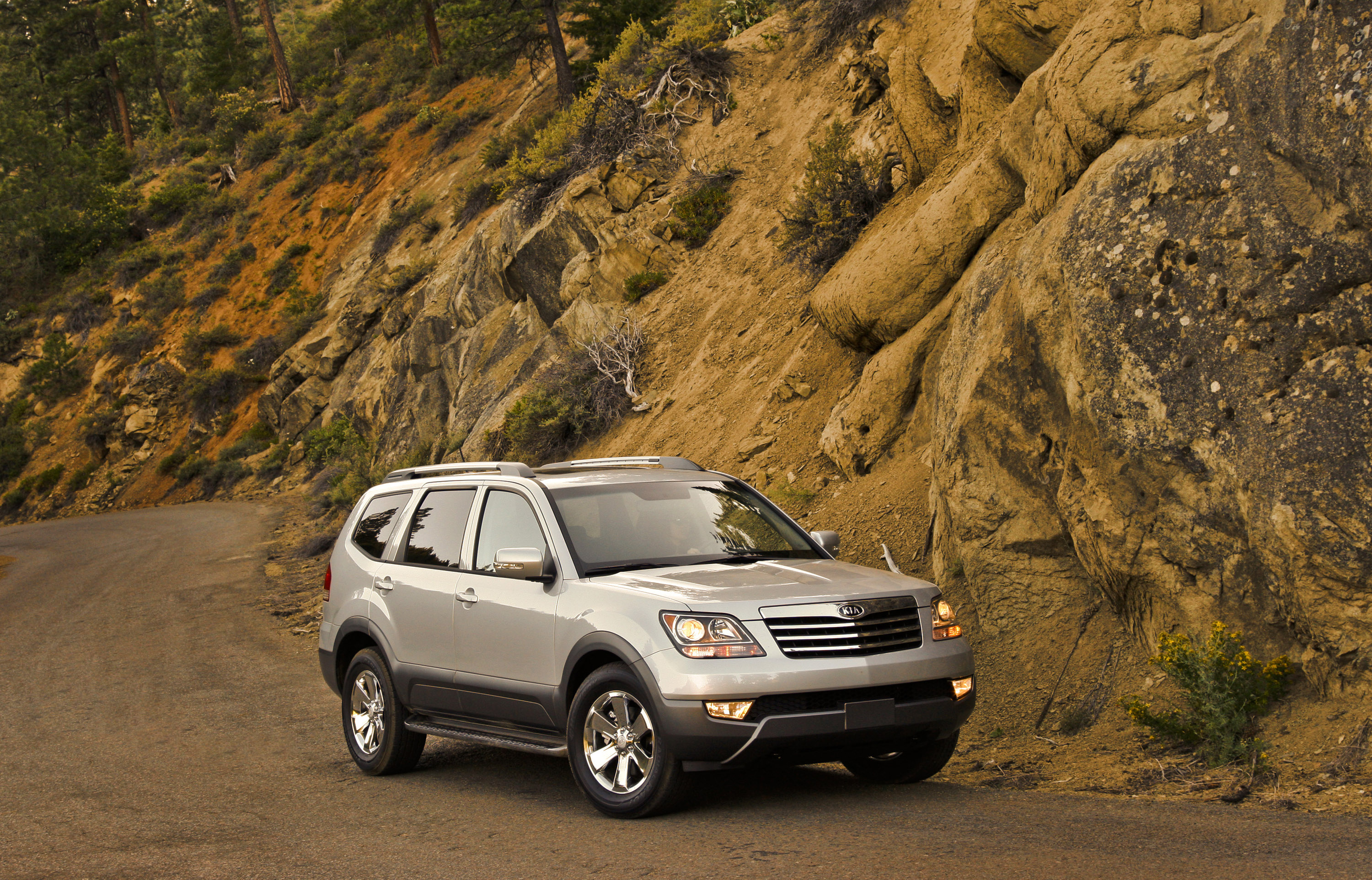 Kia Borrego photo #33