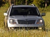 Kia Borrego 2009