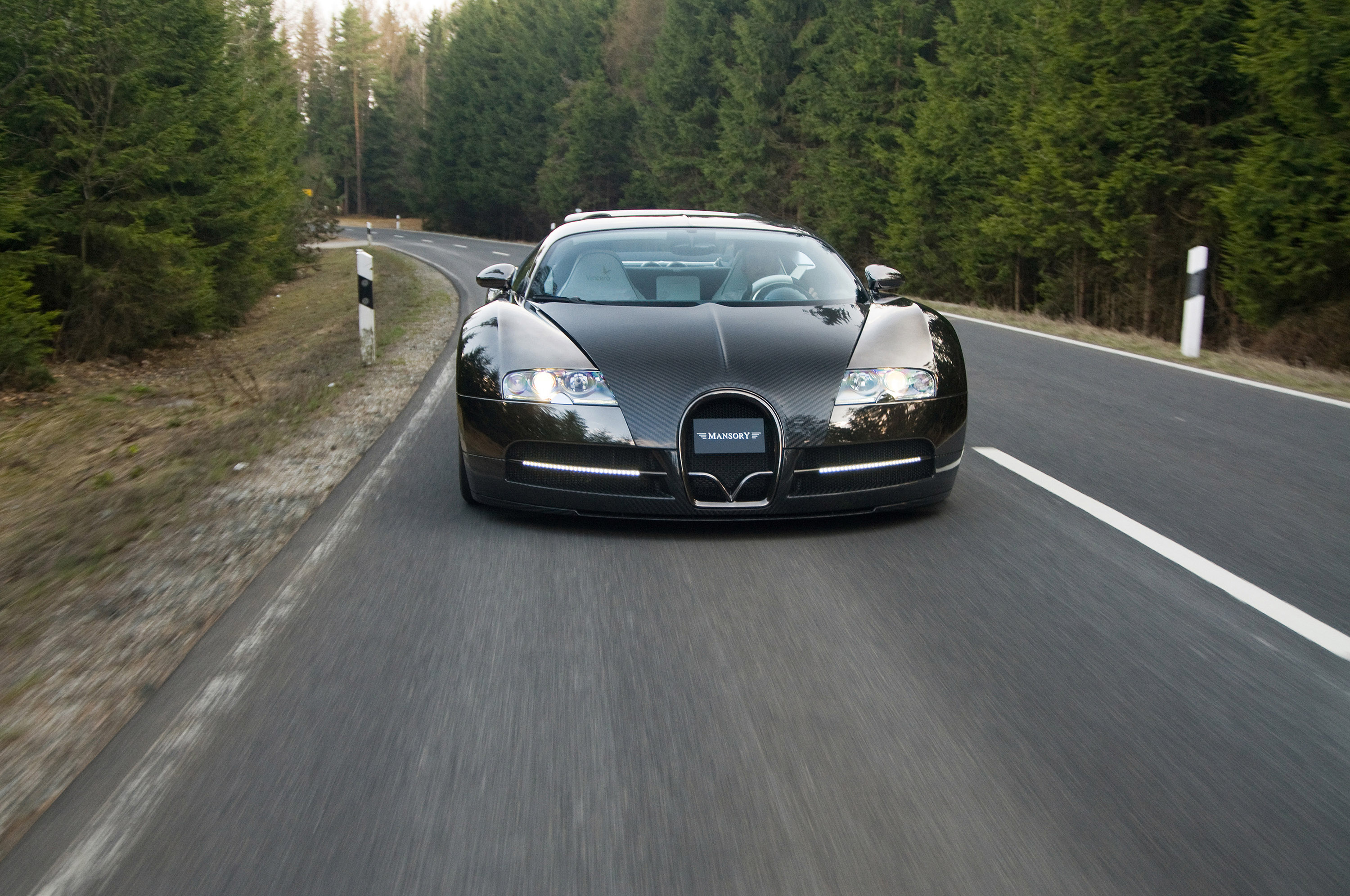 MANSORY LINEA Vincero Bugatti Veyron 16.4 photo #2