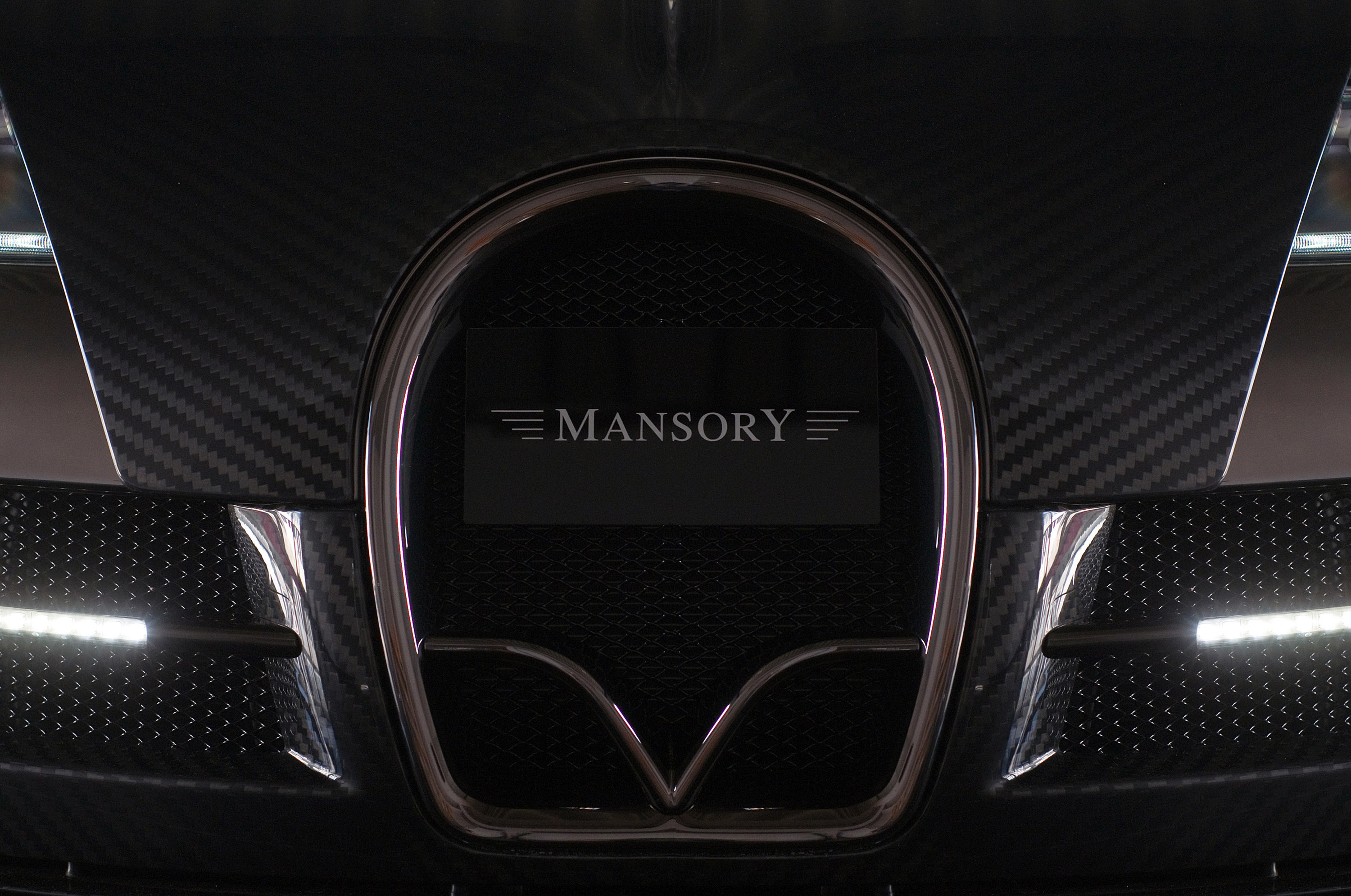 MANSORY LINEA Vincero Bugatti Veyron 16.4 photo #21