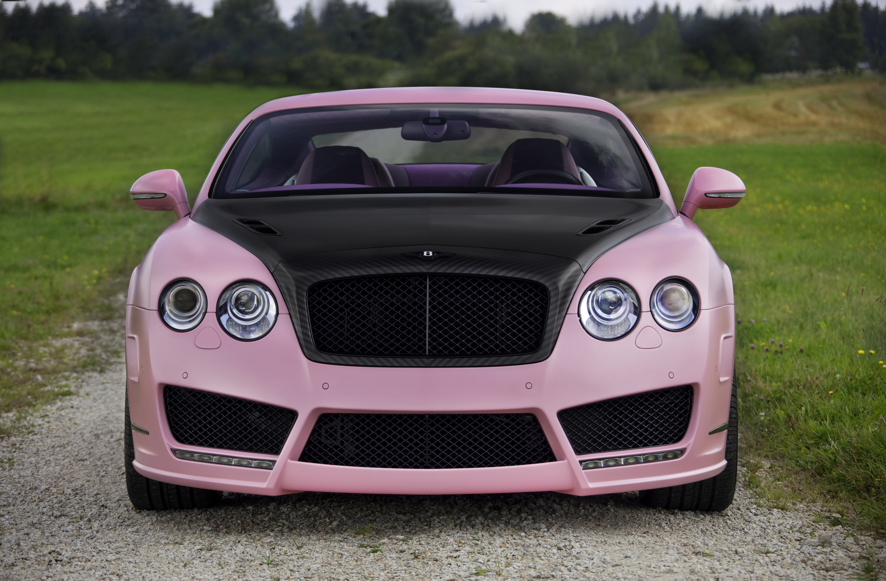 MANSORY Vitesse Rose Bentley Continental GT Speed photo #1