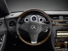 2009 Mercedes-Benz CLS Grand Edition thumbnail photo 37651